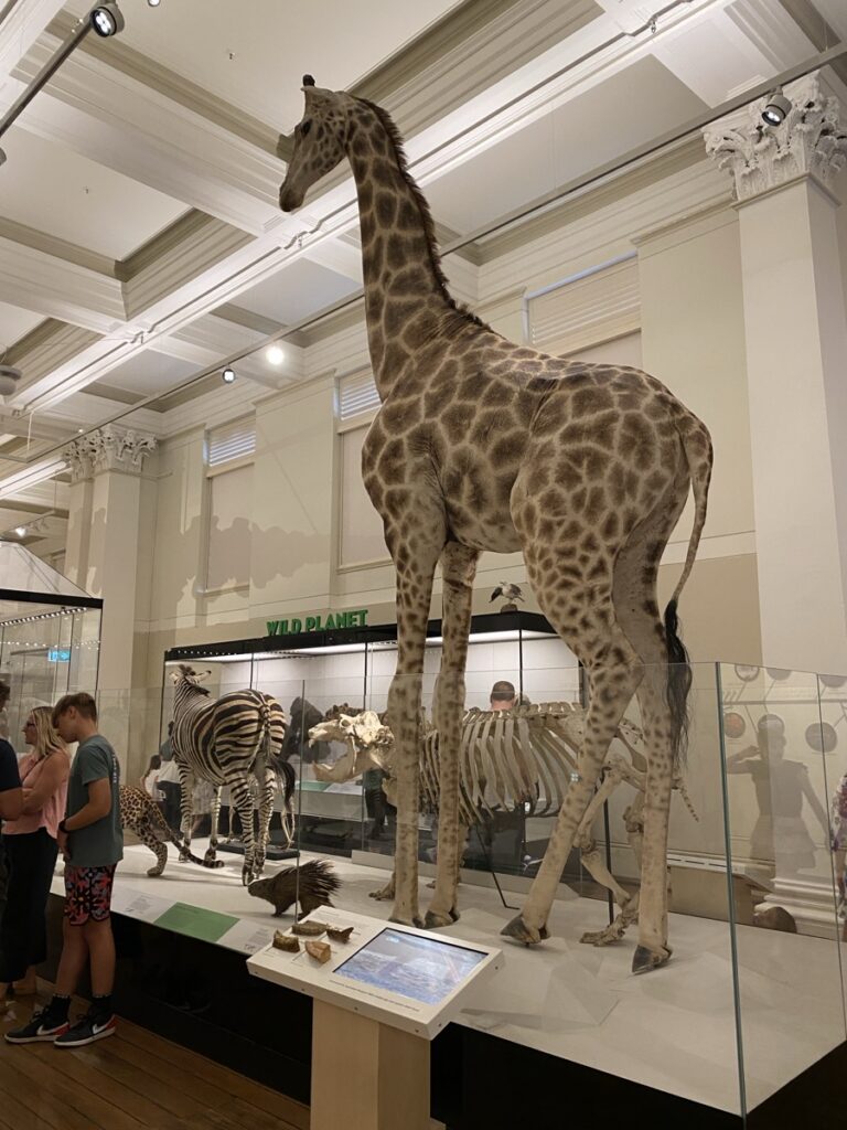 free museums Sydney families