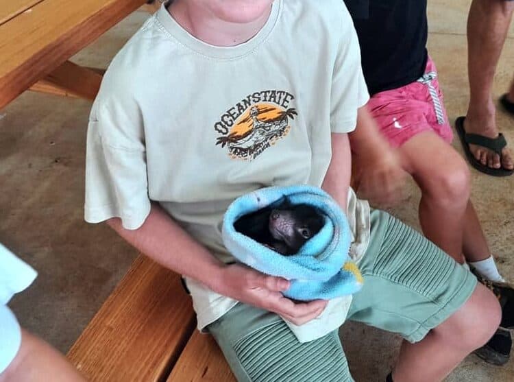 family tour aussie ark